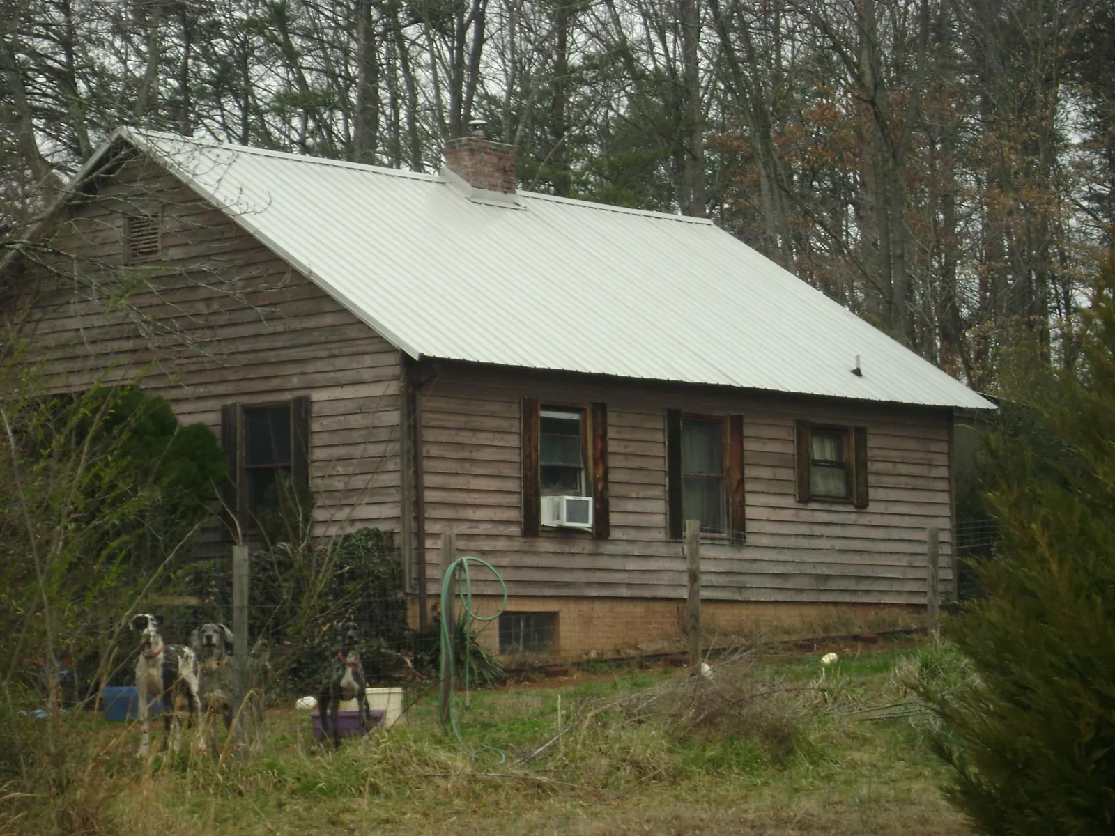 White metal roof on an old wood sided farmhouse, from a Asphalt Shingle Roof Repair job in Spring Grove